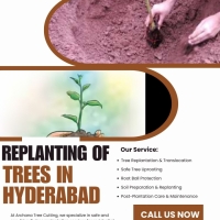 Treecuttingserviceshyderabad